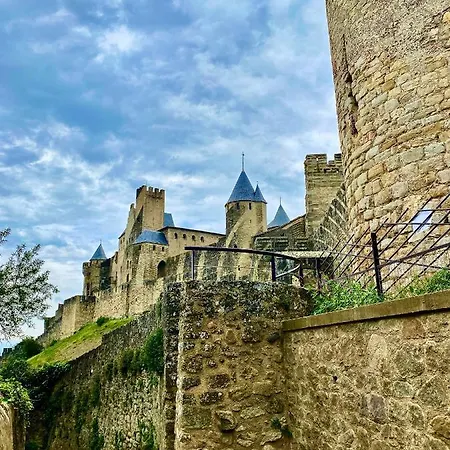 Bella Noche By D&o קרקסון